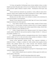 Turizmo verslas ir perspektyvos Lietuvoje 5 puslapis