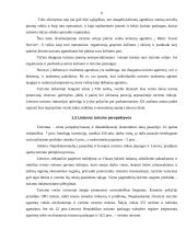 Turizmo verslas ir perspektyvos Lietuvoje 6 puslapis