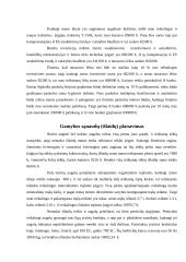 Ūkininkavimo plėtros projektas: kiaulių auginimas 4 puslapis