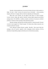 Sunkvežimių serviso rekonstrukcija: Mercedes Benz 6 puslapis