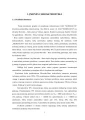 Sunkvežimių serviso rekonstrukcija: Mercedes Benz 7 puslapis