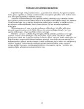 Ūkinių miškų sausinimas 13 puslapis