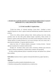 Šeimos ir ugdymo institucijų bendradarbiavimas ugdant hiperaktyvų vaiką 19 puslapis