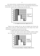 Vadybininko vaidmuo rengiant renginius Klaipėdos koncertų salėje 13 puslapis