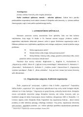 Vadybininko vaidmuo rengiant renginius Klaipėdos koncertų salėje 3 puslapis