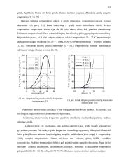 Tvarto rekonstrukcijos į grūdų sandėlį projektas 13 puslapis