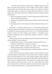 Tvarto rekonstrukcijos į grūdų sandėlį projektas 15 puslapis