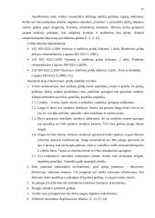 Tvarto rekonstrukcijos į grūdų sandėlį projektas 17 puslapis