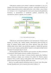Tvarto rekonstrukcijos į grūdų sandėlį projektas 18 puslapis