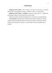 Tvarto rekonstrukcijos į grūdų sandėlį projektas 3 puslapis