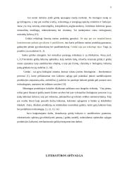 Tvarto rekonstrukcijos į grūdų sandėlį projektas 5 puslapis