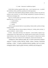 Tvarto rekonstrukcijos į grūdų sandėlį projektas 6 puslapis