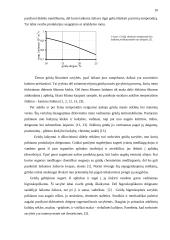 Tvarto rekonstrukcijos į grūdų sandėlį projektas 10 puslapis