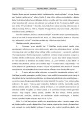 Vadybos raida Lietuvoje, įsimintiniausi pokyčiai 11 puslapis