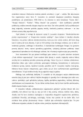 Vadybos raida Lietuvoje, įsimintiniausi pokyčiai 14 puslapis