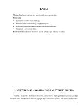 Vadovavimas - kaip vadybos funkcija valdymo organizacijoje 2 puslapis