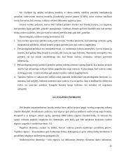 Vadovavimas - kaip vadybos funkcija valdymo organizacijoje 12 puslapis