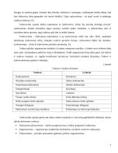 Vadovavimas - kaip vadybos funkcija valdymo organizacijoje 3 puslapis