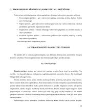 Vadovavimas - kaip vadybos funkcija valdymo organizacijoje 10 puslapis