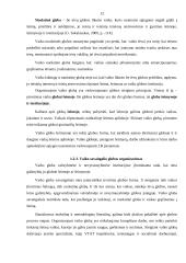 Vaiko globa savaitgaliais 12 puslapis