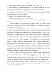 Vaiko globa savaitgaliais 16 puslapis