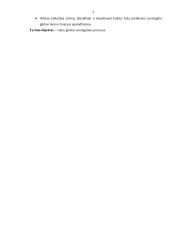 Vaiko globa savaitgaliais 3 puslapis