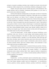 Vaikų saugumo Jonavos pagrindinėje mokykloje įvertinimas 9 puslapis