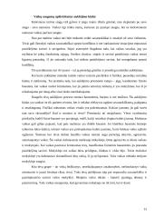 Vaikų saugumo Jonavos pagrindinėje mokykloje įvertinimas 11 puslapis