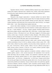 Vaikų saugumo Jonavos pagrindinėje mokykloje įvertinimas 12 puslapis