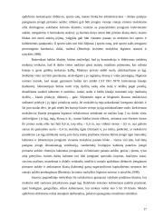 Vaikų saugumo Jonavos pagrindinėje mokykloje įvertinimas 15 puslapis