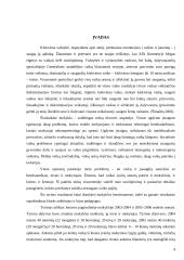 Vaikų saugumo Jonavos pagrindinėje mokykloje įvertinimas 2 puslapis