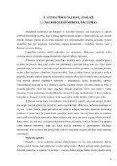 Vaikų saugumo Jonavos pagrindinėje mokykloje įvertinimas 4 puslapis