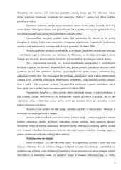 Vaikų saugumo Jonavos pagrindinėje mokykloje įvertinimas 5 puslapis