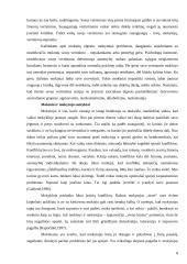 Vaikų saugumo Jonavos pagrindinėje mokykloje įvertinimas 6 puslapis