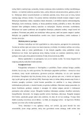 Vaikų saugumo Jonavos pagrindinėje mokykloje įvertinimas 7 puslapis