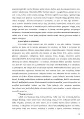 Vaikų saugumo Jonavos pagrindinėje mokykloje įvertinimas 8 puslapis