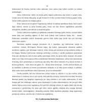 Vadovavimas ir lyderiavimas, bei šių sąvokų skirtumai 19 puslapis