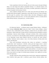 Vadovavimas ir lyderiavimas, bei šių sąvokų skirtumai 20 puslapis