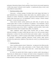 Vadovavimas ir lyderiavimas, bei šių sąvokų skirtumai 6 puslapis