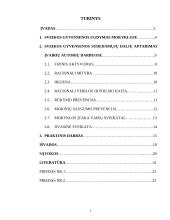 Vaikų sveikos gyvensenos ugdymas pradinėje mokykloje 2 puslapis