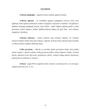 Vaikų sveikos gyvensenos ugdymas pradinėje mokykloje 20 puslapis