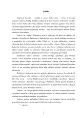 Vadovavimas valdymo sistemoje 2 puslapis