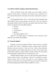 Vadovavimas valdymo sistemoje 11 puslapis