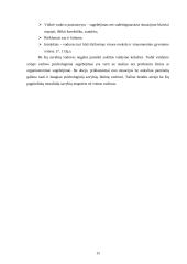 Vadovavimas valdymo sistemoje 15 puslapis