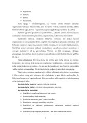 Vadovavimas valdymo sistemoje 3 puslapis