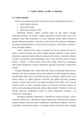 Vadovavimas valdymo sistemoje 5 puslapis