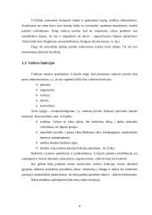 Vadovavimas valdymo sistemoje 8 puslapis