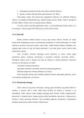 Vadovavimas valdymo sistemoje 10 puslapis