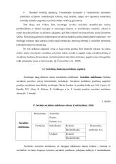 Visuomenės stratifikacija 12 puslapis