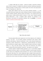 Visuomenės stratifikacija 20 puslapis